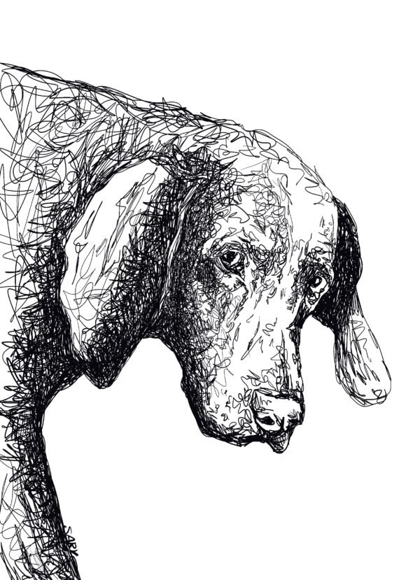 Custom Pet Portrait - Personalized Digital Pet Art - 1 original