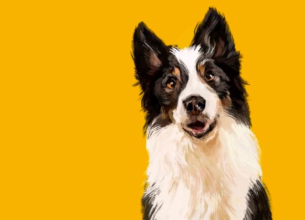 Custom Pet Portrait - Personalized Digital Pet Art - 1 original