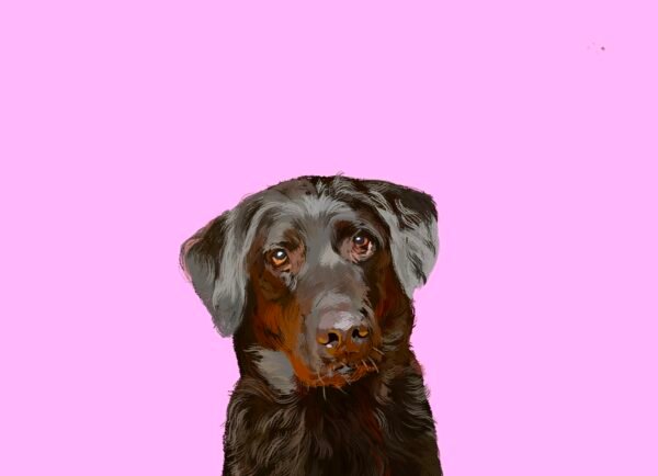 Custom Pet Portrait - Personalized Digital Pet Art - 1 original