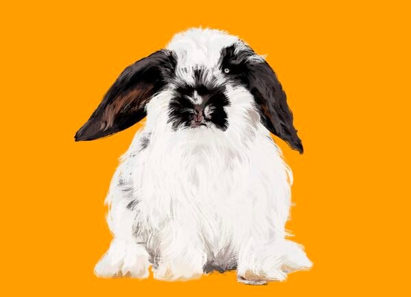 Custom Pet Portrait - Personalized Digital Pet Art - 1 original