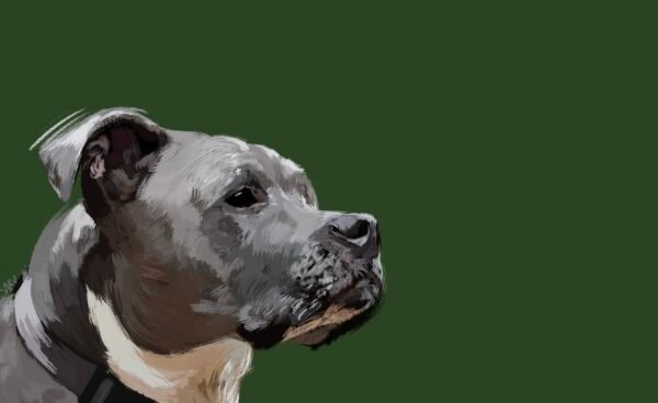 Custom Pet Portrait - Personalized Digital Pet Art - 1 original
